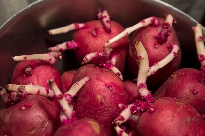 Empêcher les germes
